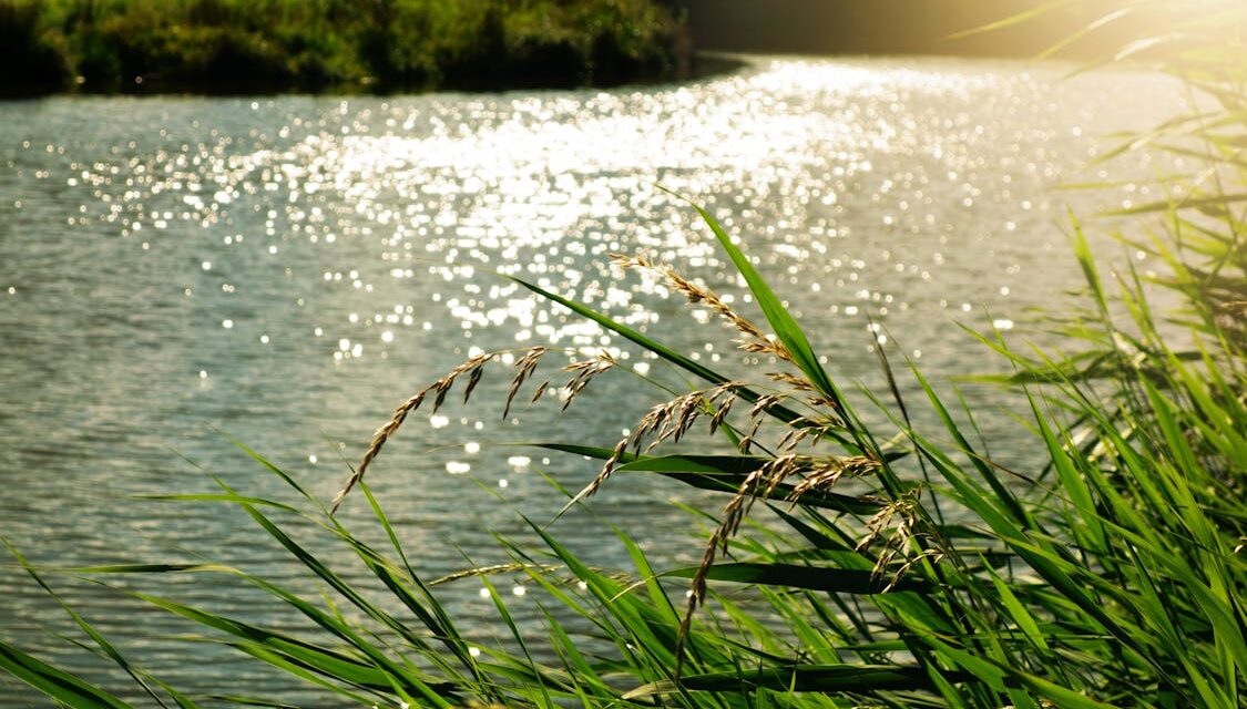 Little Big Moments: River Gifts