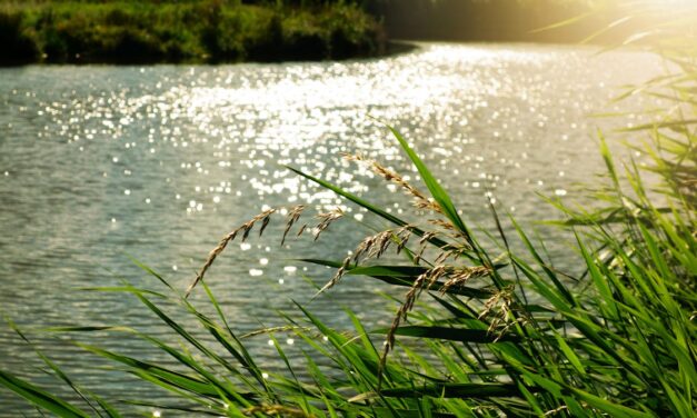 Little Big Moments: River Gifts