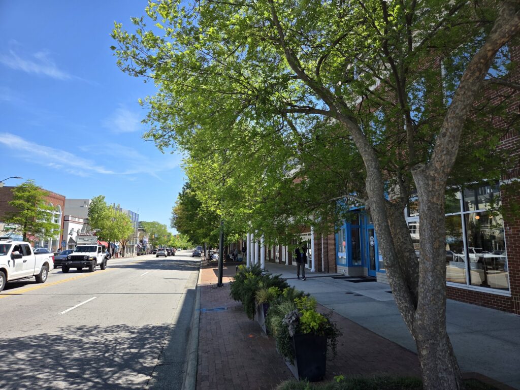 Refugium: Meet Downtown Chapel Hill’s Street Trees, Part 2