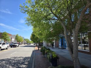 A photo by Geoffrey Neal of East Franklin Street in Chapel Hill, N.C., featuring trees, pedestrians, traffic and storefronts against a beautiful blue sky.