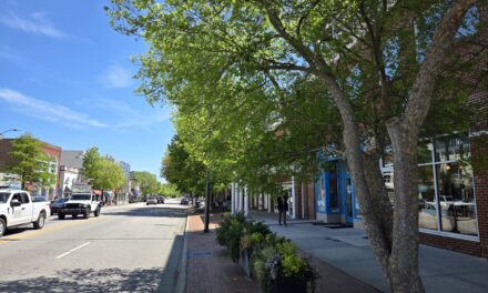 Refugium: Meet Downtown Chapel Hill’s Street Trees, Part 2