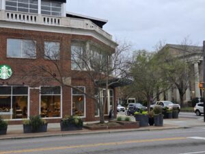 A two-story tall Chinese elm (Ulmus parvifolia) grows out of a brick planter box surrounded by concrete and brick sidewalk in front of a busy coffee house on the southeast corner of Columbia and Franklin Streets in downtown Chapel Hill, N.C. The building has big windows and decorative concrete “railing” along the top. A green and white corporate logo of a woman and a starry crown is on the left. To the right are several cars waiting at a stoplight and the façade of a large church across the street. Several other unidentified trees are visible. The sky is light gray. This photograph was taken by Geoffrey Neal.