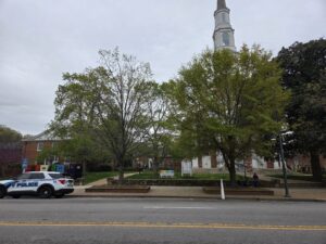 A gray sky hovers over a church, its white steeple rising high above the sidewalk and street. A dark green magnolia (Magnolia grandiflora) anchors the right side of the photo. To its left is the laurel oak (Quercus laurifolia), with a lighter green round canopy, and a white oak (Quercus alba) and pin oak (Quercus palustris). Geoffrey Neal took this photo in Downtown Chapel Hill, N.C.
