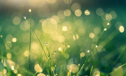 Exploring Your Creative Genius: Cultivating Creative Behaviors