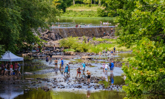 46th Annual Festival for the Eno Returns July 4 and 5
