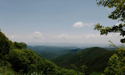 One on One: Josephus Daniels and Blue Ridge Parkway