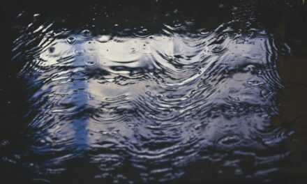 This Just In: The Power of Water