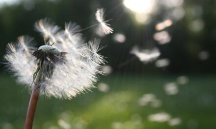 Exploring Your Creative Genius: Listen Generously