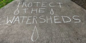 Blocky chalk letters on concrete read “Protect the watersheds” with drops of water surrounding the text. Photo by Margot Lester.