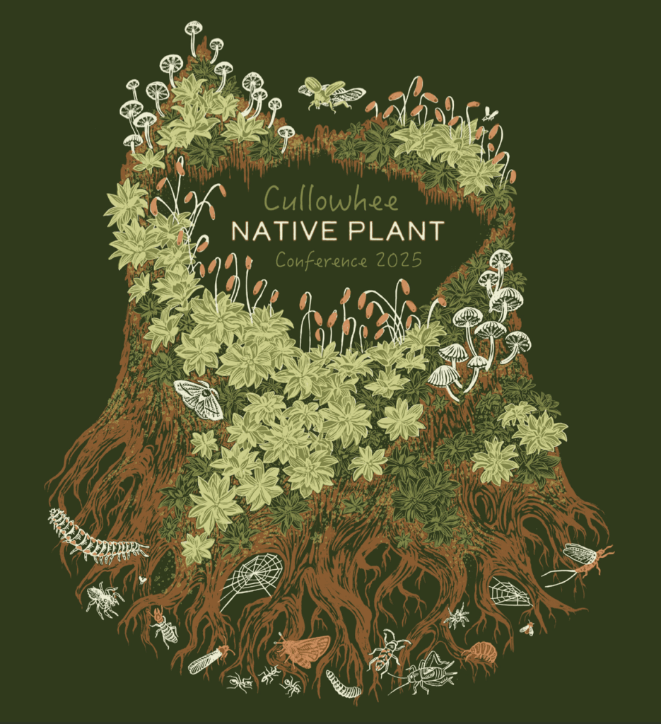 This is an illustration of various native plants, fungi and bugs on a tree stump. The colors are mostly greens and browns on an olive green background. The words ‘Cullowhee Native Plant Conference 2025’ appear near the top of the drawing. This is the conference’s logo, designed by Dayna Walton of Solstice Handmade.