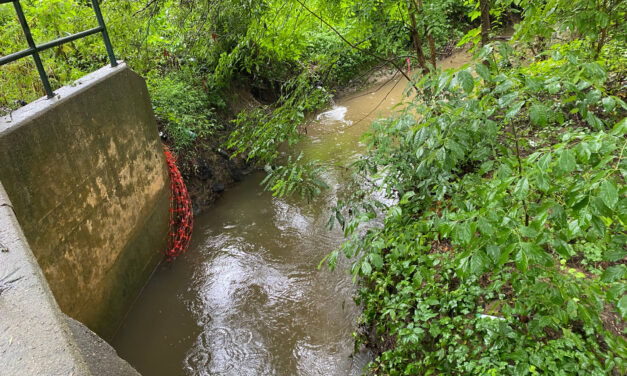 An Environmental Justice Test Case for Trump’s EPA: A Creek That Smells Like Death