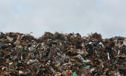 One on One: Where Does Our Garbage Go?