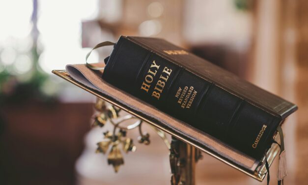 Little Big Moments: Wonder-pews
