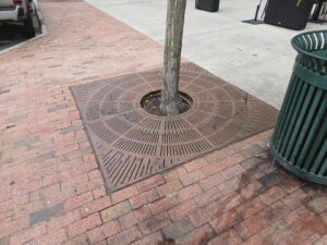 This photo shows a rusty metal grate surrounding the narrow trunk of an oak tree on West Franklin Street in Chapel Hill. The grate is surrounded by brick on three sides and concrete on the other. To the right is a green metal trash can from which an unidentified liquid is seeping.