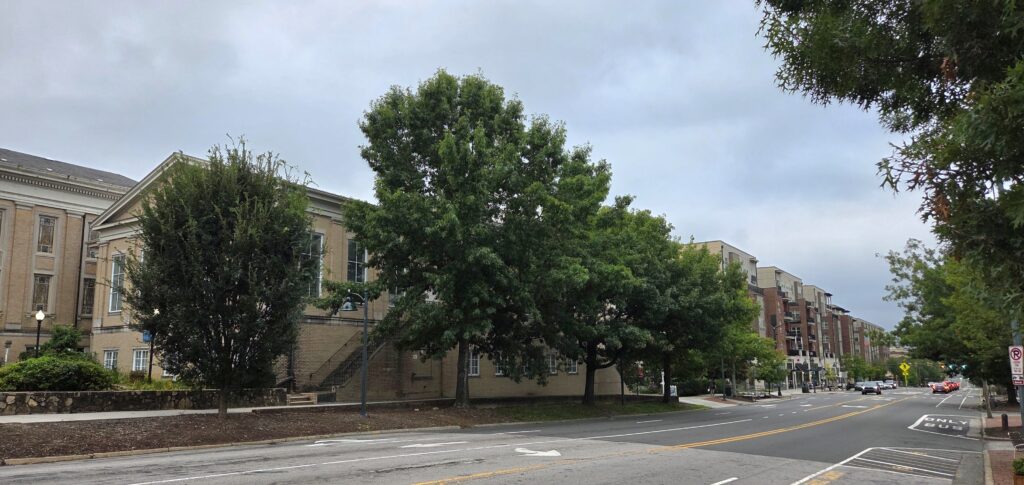 In this photograph of downtown Chapel Hill, N.C., by Geoffrey Neal, two light-colored masonry buildings dominate the left side, with large trees and an empty street in the foreground. Beyond rises a city block of brick buildings with a few cars coming and going in front. Smaller trees are also visible. On the right is a loading zone partially shaded by a tree. The sky is blue-ish gray.