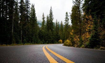 One on One: A Hidden Love Life, With a Road