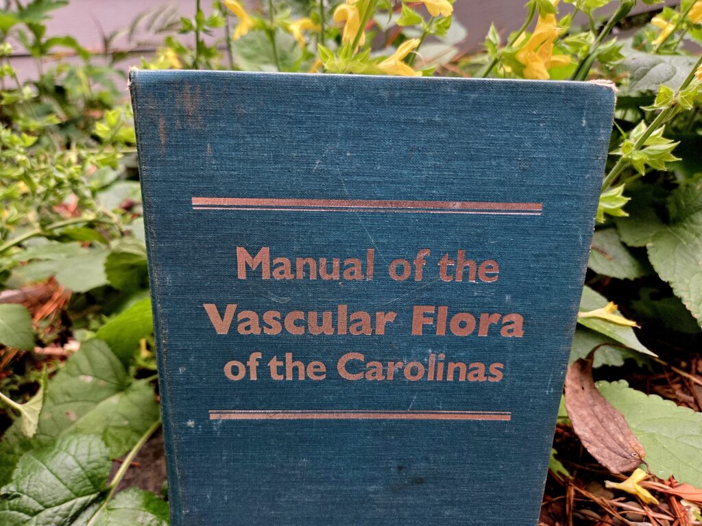 In this photo by Geoffrey Neal, a book with a well-loved linen cover is displayed before leaf litter, green serrated leaves and small golden flowers. Bronze foil type, bound by horizontal bars reads: ‘Manual of the Vascular Flora of the Carolinas’.