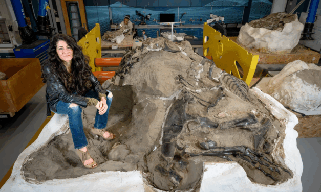 ‘Biggest Dinosaur Discovery of the Decade’: North Carolina Professor Announces New Tyrannosaur Findings