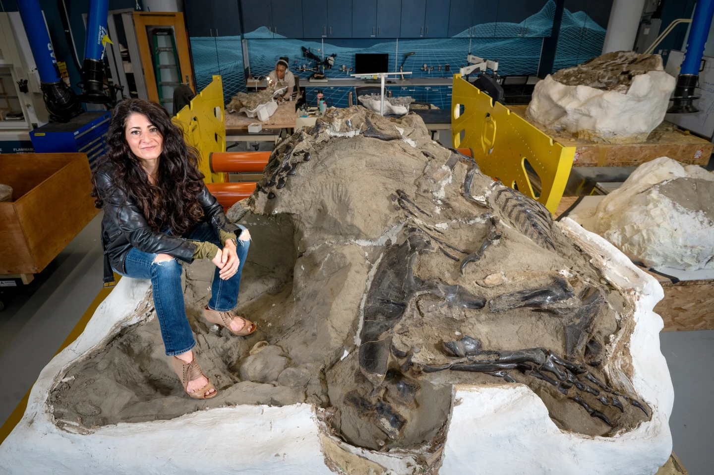 &lsquo;Biggest Dinosaur Discovery of the Decade&rsquo;: North Carolina Professor Announces New Tyrannosaur Findings