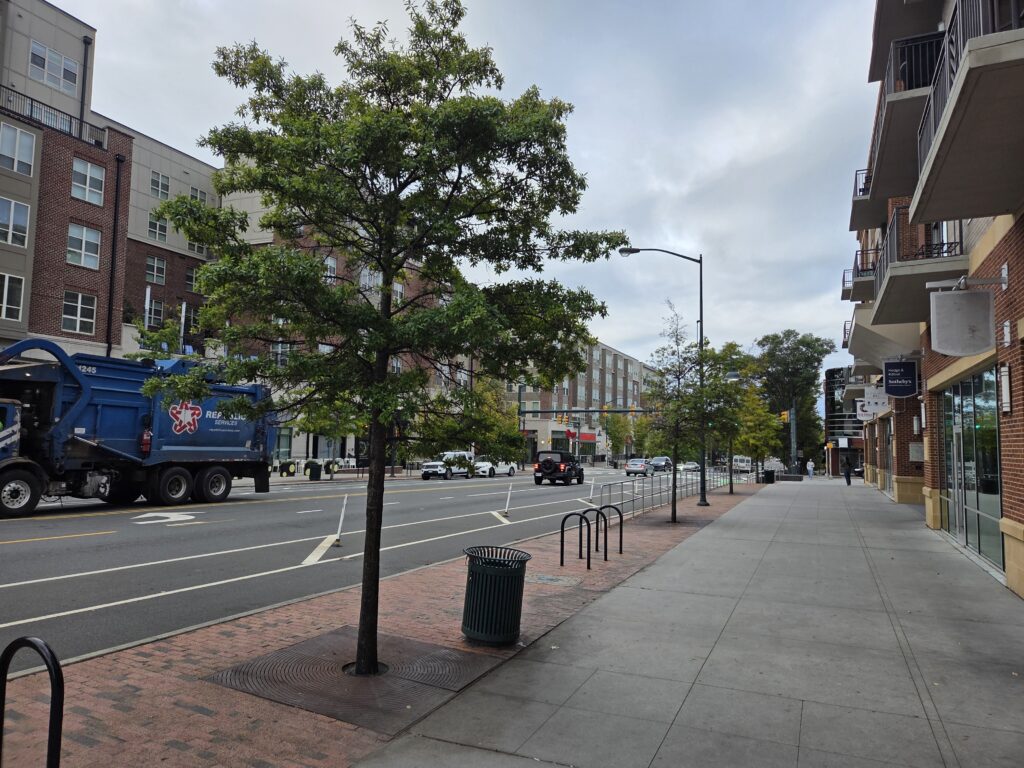 A line of young willow oaks extends left to right across this photo, bordered by brick-and-stucco building facades and a busy Franklin Street. A blue garbage truck is sneaking out of the frame on the left. A wide sidewalk, street lights, a bike rack and business signage dominate the right side.