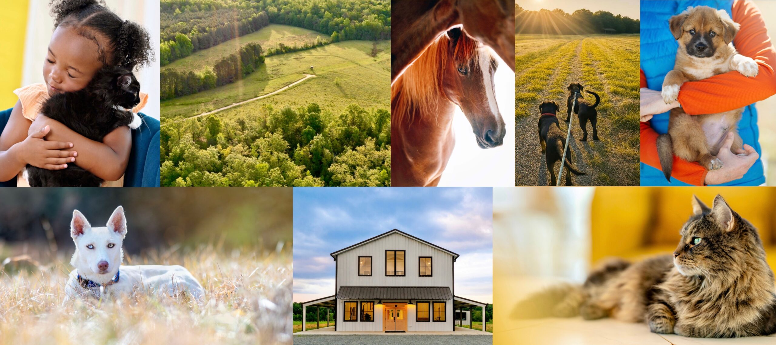 Beige Modern Minimalist Interior Design LinkedIn Banner - 1