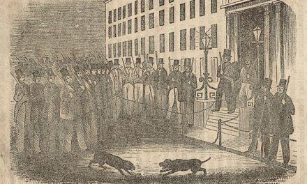 Past Rhymes With Present Times: People in Fear, Fugitives in Boston and Immigrants in North Carolina