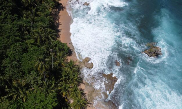 Never Too Far: What’s Not to Like about Cahuita?