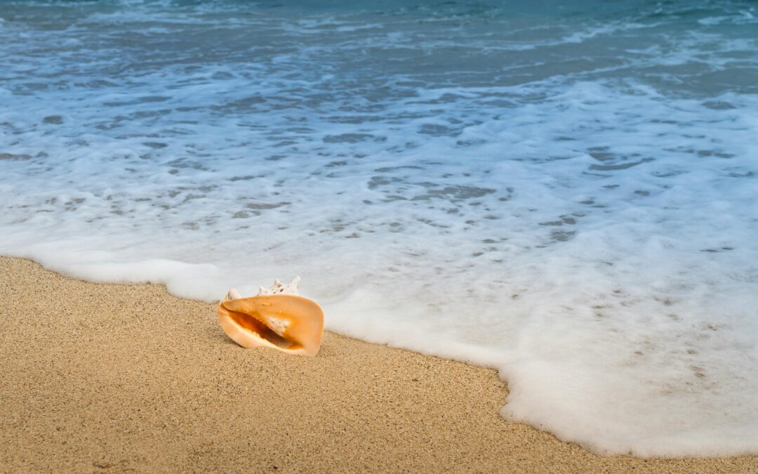 Little Big Moments: Putting Your Ear to the Conch Shell