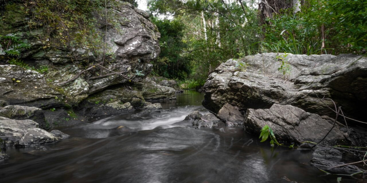 Little Big Moments: ‘The Piddly Brook of My Soul’