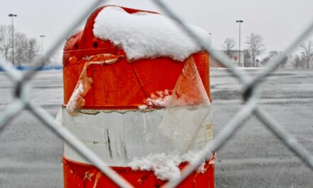 This Just In: Snowpocalypse Now