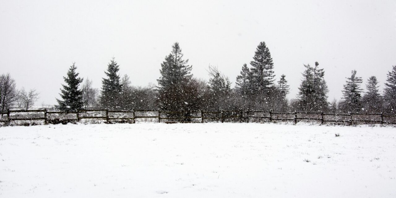 This Just In: Snowpocolypse 2 — This Time It’s Personal