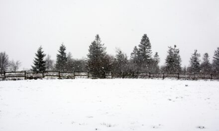 This Just In: Snowpocolypse 2 — This Time It’s Personal