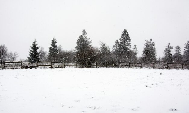 This Just In: Snowpocolypse 2 — This Time It’s Personal