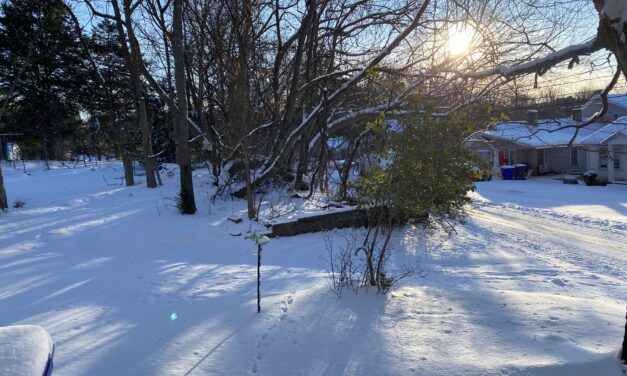 Photo Gallery: Winter Storm Gianna Brings Snowy Weekend To The Triangle