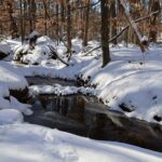 Photo Gallery: Winter Storm Gianna Brings Snowy Weekend To The Triangle Photo Gallery: Winter Storm Gianna Brings Snowy Weekend To The Triangle