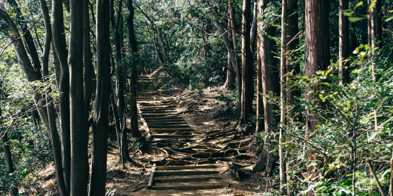 Exploring Your Creative Genius: Making Your Way, Finding Your Path