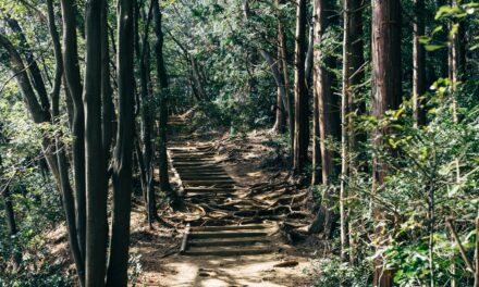 Exploring Your Creative Genius: Making Your Way, Finding Your Path