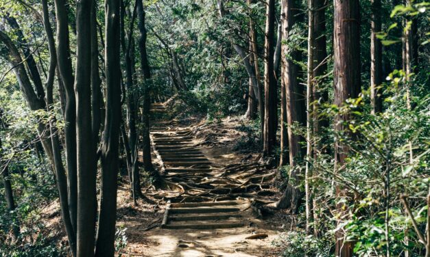 Exploring Your Creative Genius: Making Your Way, Finding Your Path