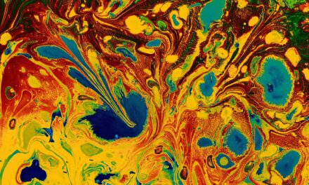 Exploring Your Creative Genius: How Storytelling Affects The Brain