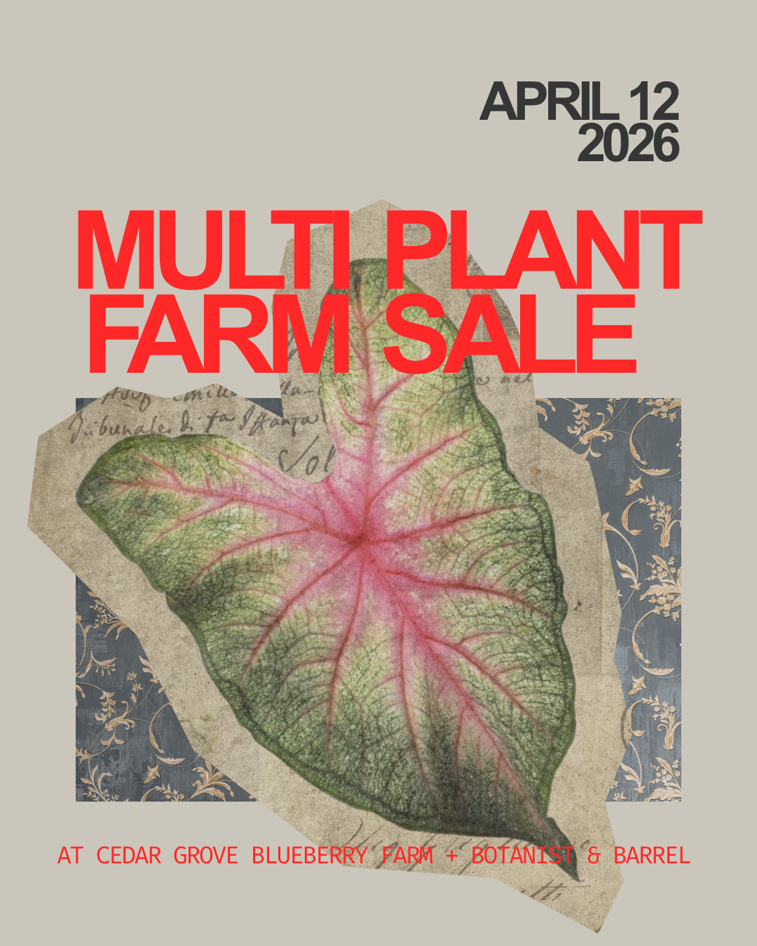 Multi Farm Plant Sale