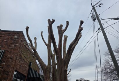 Interstitial #3: Restraint