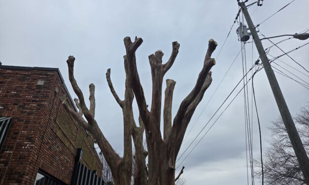 Interstitial #3: Restraint