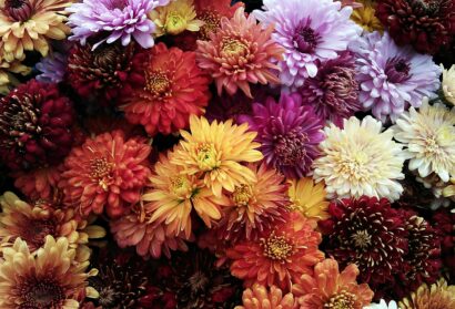 Little Big Moments: Fragrance of Fasting