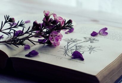 Little Big Moments: Ross Gay and the Study of Joy