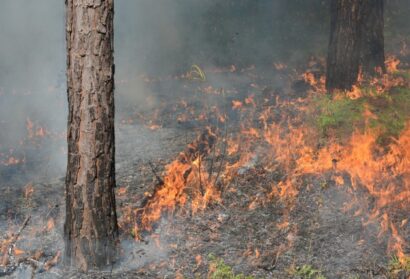 Prescribed Fire At Jordan Lake Could Lead To Smoky Conditions For Chapel Hill Residents