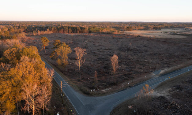 VinFast Submits Permits to Restart Chatham County Factory Construction; Aims to Open by 2028