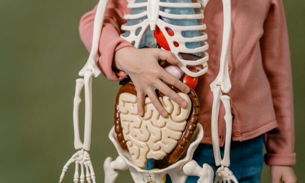 The Future of Wellness: Visceral Fat, The Most Dangerous Fat You Can’t See