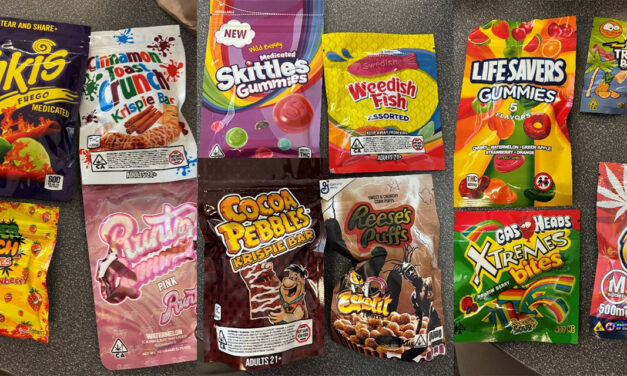 Chatham County Sheriff Warns of Illegal THC Snack Imitations After Traffic Stop, Drug Bust