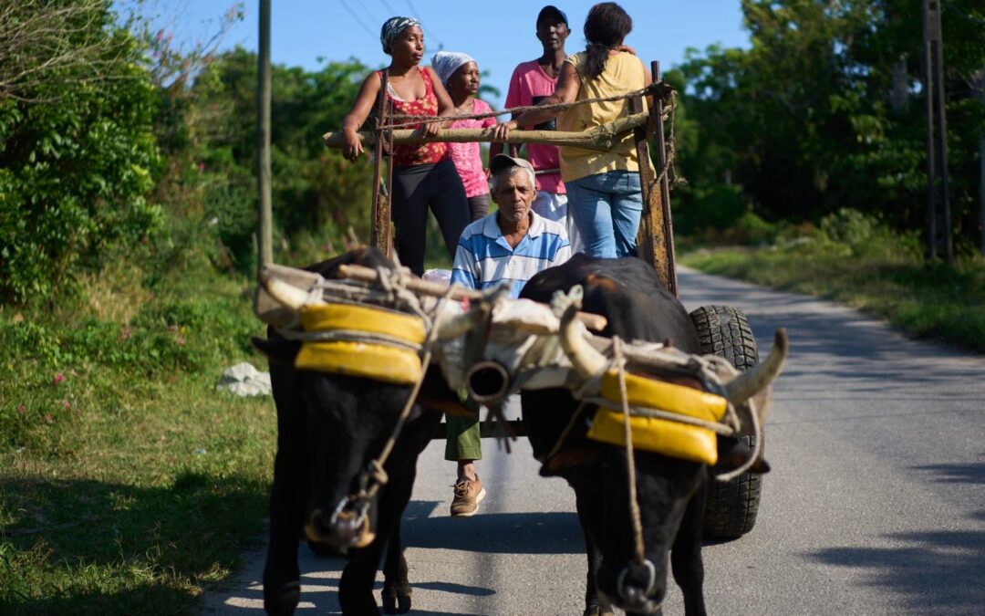 US Energy Blockade Leaves Cuban Farmers Struggling to Feed a Nation