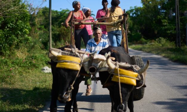 US Energy Blockade Leaves Cuban Farmers Struggling to Feed a Nation